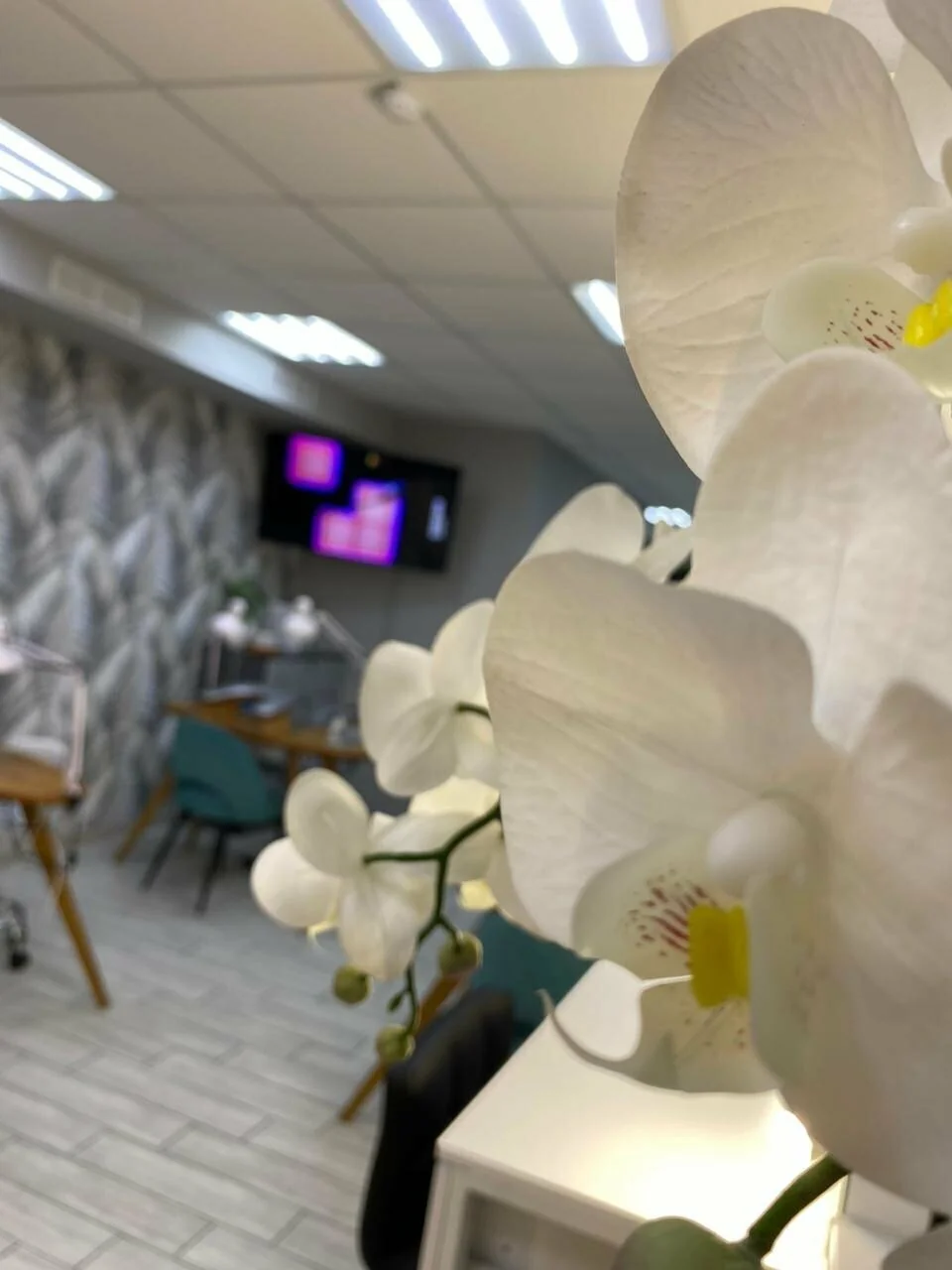 Студия маникюра и педикюра Nails Bar в Белгороде - орхидеи в зале - фото 15