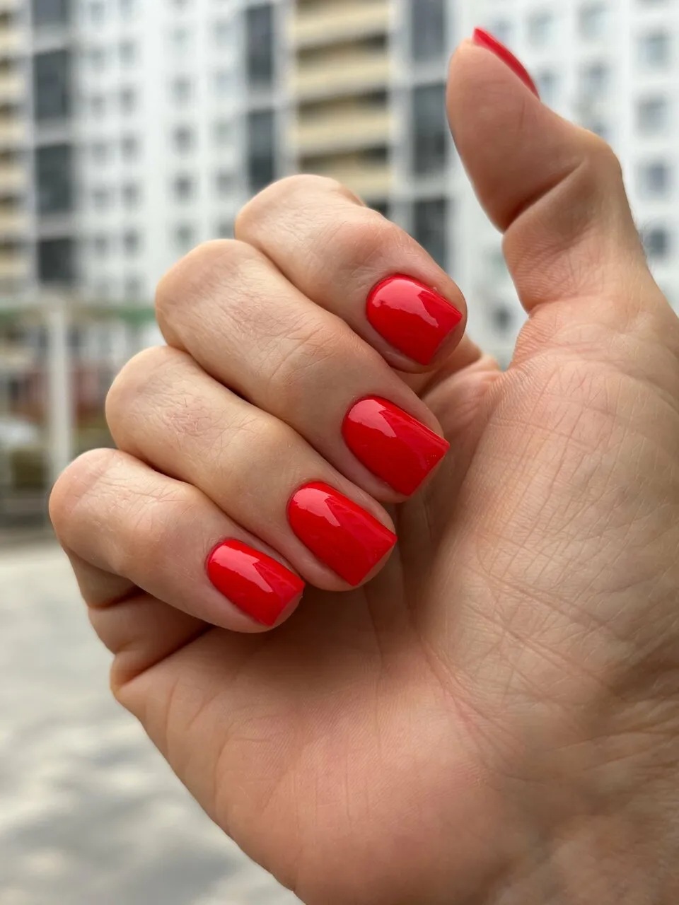Маникюр Nails Bar в Белгороде - фото 165 из карточки Яндекс Карт