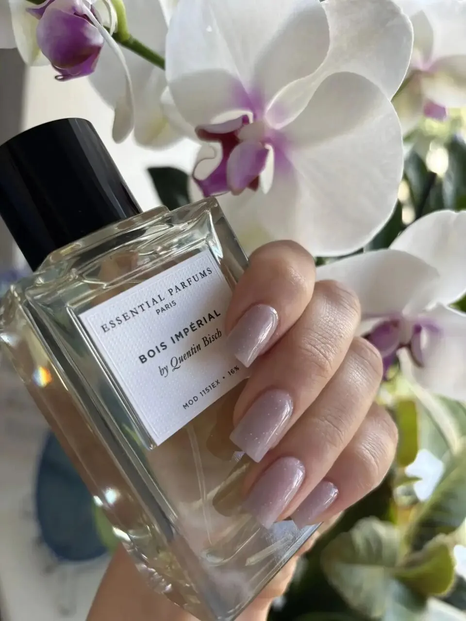 Маникюр Nails Bar в Белгороде - фото 215 из карточки Яндекс Карт