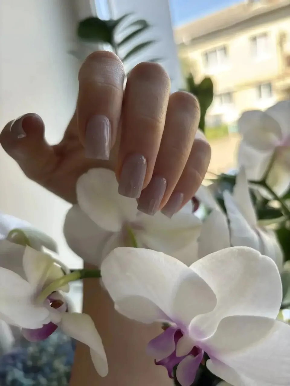 Маникюр Nails Bar в Белгороде - фото 216 из карточки Яндекс Карт